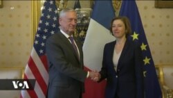 Jim Mattis amekutana mjini Paris na waziri mwenzake Florence Parly