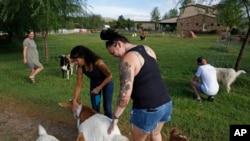 Johanna Fierstein, center right, and Joanne Cacciatore pet some animals at the Selah Carefarm in Cornville, Arizona, Oct. 4, 2022.