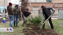 Kempeyna Danîna Daran li Qamişlo