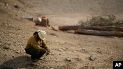 Deago Yanez descansa mientras corta árboles después del incendio de Eaton, el viernes 17 de enero de 2025, en Pasadena, California. (Foto AP/John Locher)