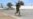 Al-Shabab Raids Village, at least 39 Dead