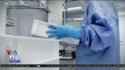 اخبار شبانگاهی