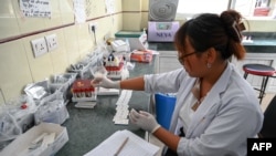 FILE - A health worker tests a blood sample to check for dengue at the Sukraraj Tropical and Infectious Disease Hospital in Kathmandu, Nepal, on Oct. 22, 2024. Climate change nurtures fever-carrying mosquitoes in new places — one health impact of rising temperatures, experts say.