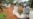 Kenyan Government Acknowledges Failure in Not Preventing Cult Deaths