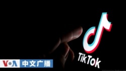 美国之音中文广播 (2026年1月24日)