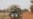 UN Agency Calls for International Action to End Sahel Conflict