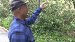 Controversy Over Former Black Cemetery Uncovers History of Forgotten Community