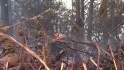 Пожар в парке Йосемити