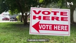 美国中期选举提前投票　选民关注物价与政党政策
