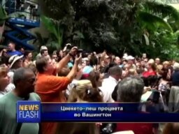 Ем цвета, ем шири реа
