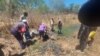 Cattle dying in mine pits dug by a Chinese company in Umzingwane, Matabeleland South