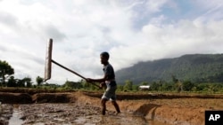 FILE - A Sri Lankan farmer ploughs his paddy field in Sannasgama, Sri Lanka.