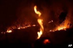 25일 브라질 아마존 지역에 속한 포르토벨료 시에서 고속도로를 따라 불길이 번지고 있다.