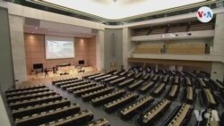 Nasyonzini Make Jounen Entènasyonal Dwazimen nan mitan yon Pandemi