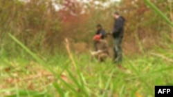 Foragers learn to separate the delicious wild plants from the deadly ones.