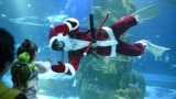 A diver dressed as Santa Claus waves to visitors during a Christmas-themed underwater show at Lotte World Aquarium in Seoul on Dec. 23, 2024. 