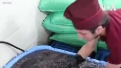 Le Ramadan fait grimper la demande du jus de raisin en Irak