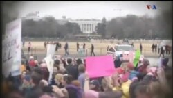 اخبار شامگاهی