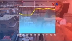 ABD'de Gıda Yardımı Alanların Sayısı Artıyor