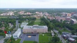 شرکت های نوپا – بیگل های کوشر به سبک نیویورکی