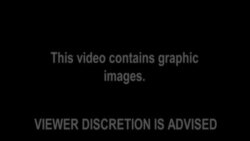 বোকো হারাম সিরিজের শেষ পর্ব