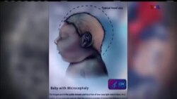 اخبار شبانگاهی