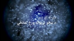 بي بي شیرینه – وي او اې ډيوه په ټیلې ویژن