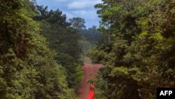 FILE - A Waiapi man walks on a road in the Waiapi indigenous reserve in Amapa state in Brazil, Oct. 15, 2017.