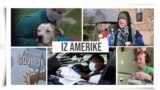 Iz Amerike 7 (18. april 2020)