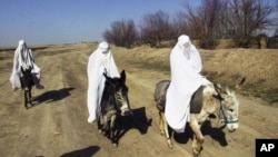 Afghanes dans le district de Sholgara, dans la province de Balkh, en Afghanistan, le 13 mars 2008.