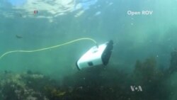 Treasure Hunt Leads to Invention of Undersea Robot