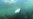 Treasure Hunt Leads to Invention of Undersea Robot