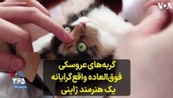 گربه‌های عروسکی فوق‌العاده واقع‌گرایانه یک هنرمند ژاپنی