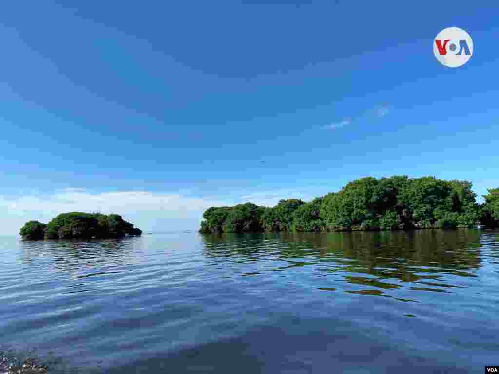 R&#237;o Sevilla, uno de los ocho afluentes que vierten sus aguas directamente en la Ci&#233;naga Grande. 