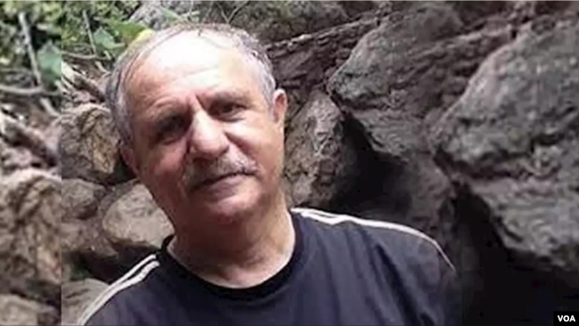 مهران رئوف