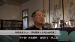 专访胡德华(3)：倡导开放设置特区推动中外合资