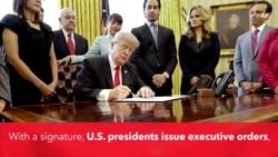 Explainer: Executive Order