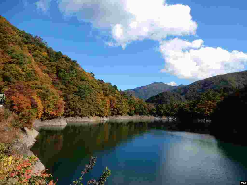 東京郊區奧多摩秋色。（美國之音湯惠芸攝）