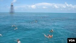 La práctica de snorkel en los corales de Key West es una experiencia fascinante.