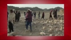 د ډیوه د روانو چارو خپرونه په ټي وي
