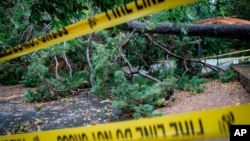 اٹلانٹا میں شاہروں پر درخت گرنے سے ٹریفک کے نظام میں خلل پڑا ہے۔ 29 اکتوبر 2020
