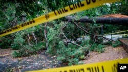 A downed tree blocks a street on Oct. 29, 2020, in Decatur, Ga., a suburb of Atlanta, after the passage of Hurricane Zeta.