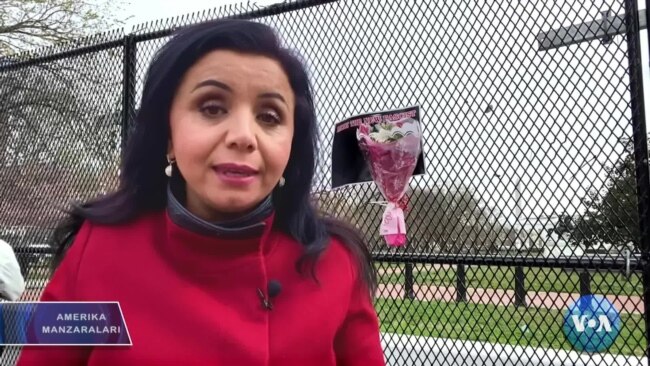 Amerika Manzaralari: Qurollar, Vashington taqdiri va o'zbek tadbirkor