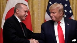 도널드 트럼프 미국 대통령과 레제프 타이이프 에르도안 터키 대통령이 지난해 11월 워싱턴 백악관에서 회담했다.