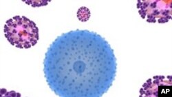 مادۀ باز دارنده انتقال ویروس HIV به بدن