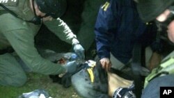 In this April 19, 2013 photo, ATF and FBI agents check suspect Dzhokhar Tsarnaev after he was apprehended in Watertown, Mass. 