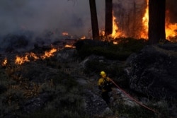 FILE - A firefighter carries a water hose toward a spot fire from the Caldor Fire burning near South Lake Tahoe, Calif., Sept. 2, 2021.