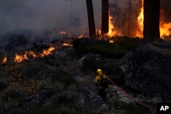 FILE - A firefighter carries a water hose toward a spot fire from the Caldor Fire burning near South Lake Tahoe, Calif., Sept. 2, 2021.