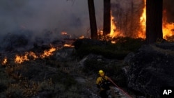 FILE - A firefighter carries a water hose toward a spot fire from the Caldor Fire burning near South Lake Tahoe, Calif., Sept. 2, 2021.