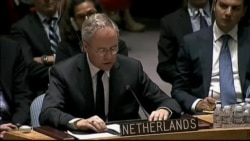 Посол Нідерландів в ООН заявив, що вся країна чекає правосуддя